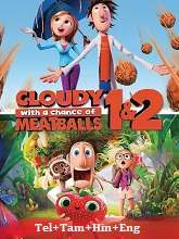 Cloudy With A Chance of Meatballs Duology