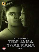 Tere Jaisa Yaar Kaha Season 1 Part 1